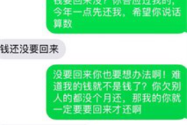 分宜为什么选择专业追讨公司来处理您的债务纠纷？